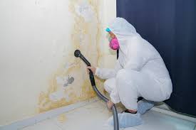 Best HVAC Mold Inspection and Cleaning  in Cliffside Park, NJ